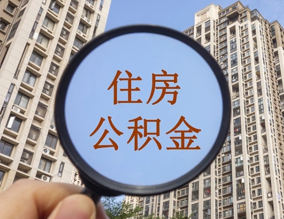 永康退休后查不到公积金明细了吗（退休后公积金查询不到原因）